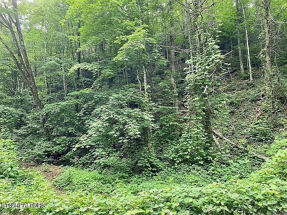 2nd image of 0 Black Walnut Flats Rd Lot 1