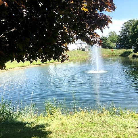 Beautiful Ponds