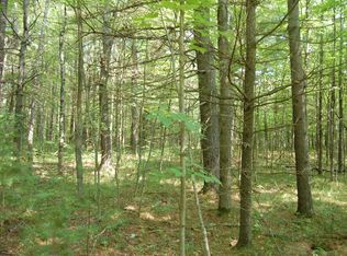 Everett Rd, Harrisville, MI 48740