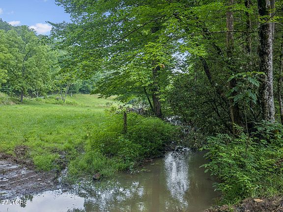 5th image of 8075 Snake Hollow Rd