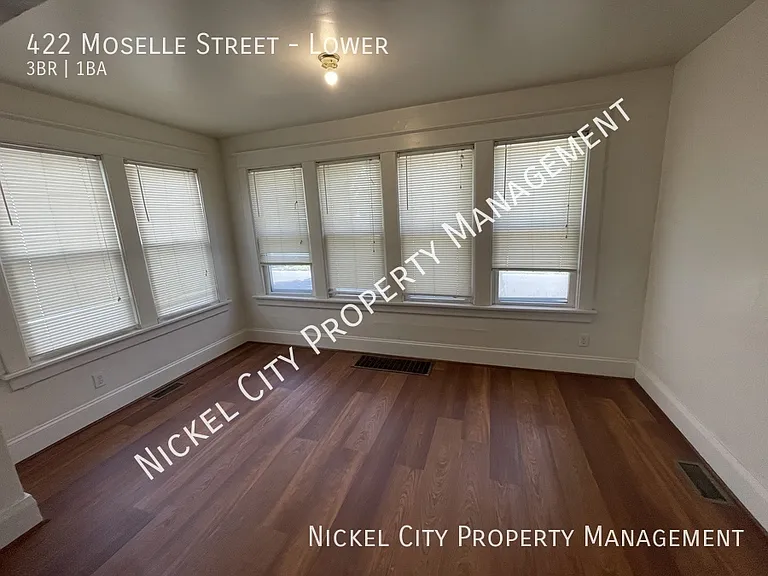 422 Moselle St #LOWER — Photo 5