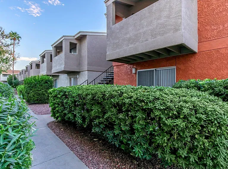 Shadowtree Apartment Homes — Photo 16