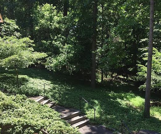 Rear Yard South View from Upper Deck