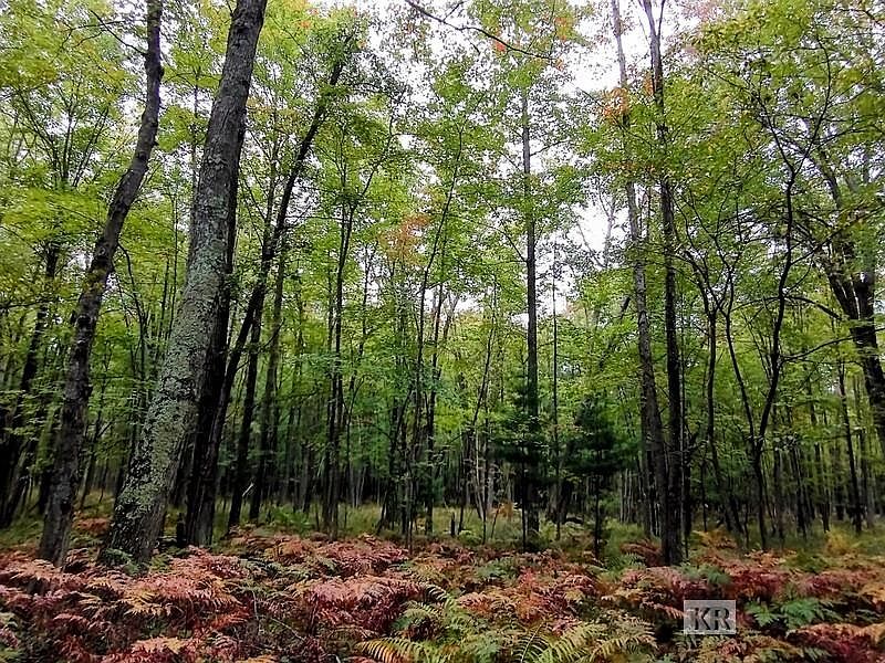 Near M61, Gladwin, MI 48624 Zillow