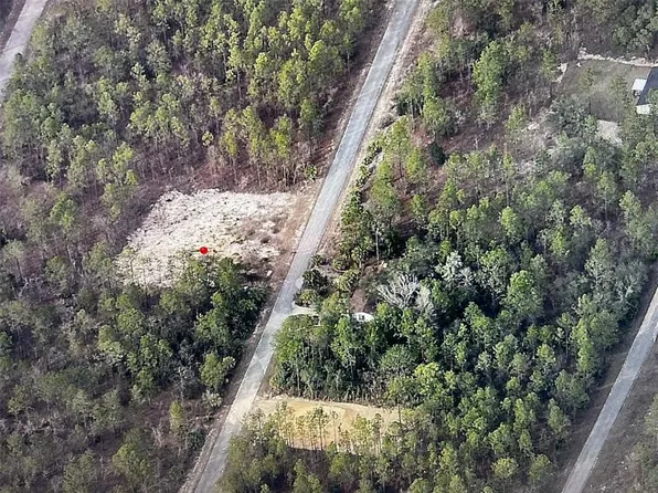 NW Narcissus Rd Lot 52, Dunnellon, FL 34431