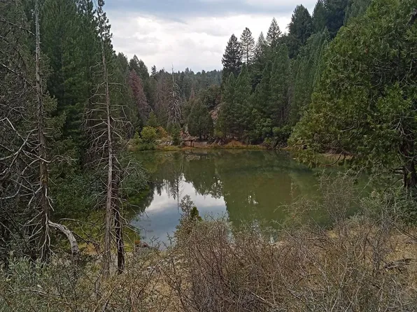 Sugar Pne, Foresthill, CA 95631