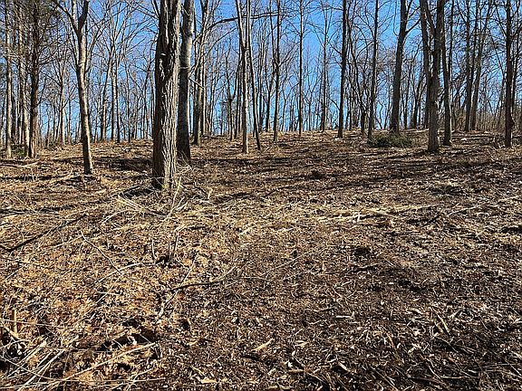 5th image of 1135 Anderson Rd