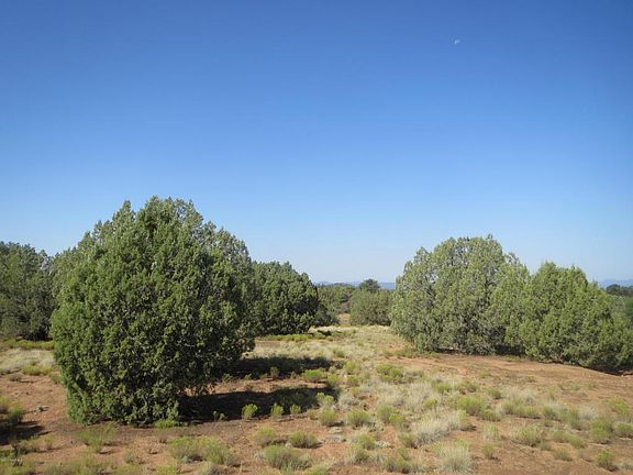 4th image of 5180 W Mirandas Way