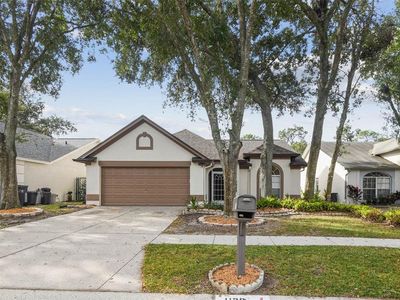 1129 Bloom Hill Ave, Valrico, FL, 33596