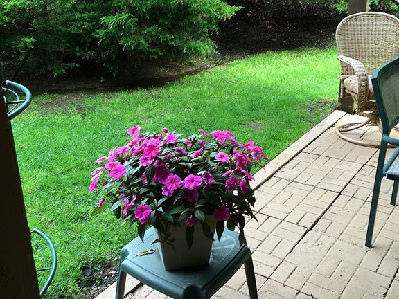 Lower Level Patio