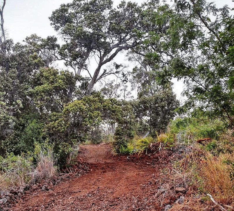 1st image of 29 Coral Pkwy Lot 29