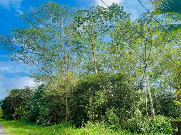 16th Ave Lot 278, Keaau, HI 96749