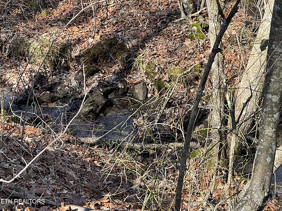 4th image of 37 Crystal Point Lot 37