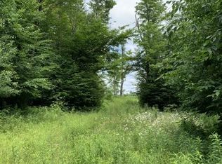 164 Baldwin Rd, Summit, NY 12175