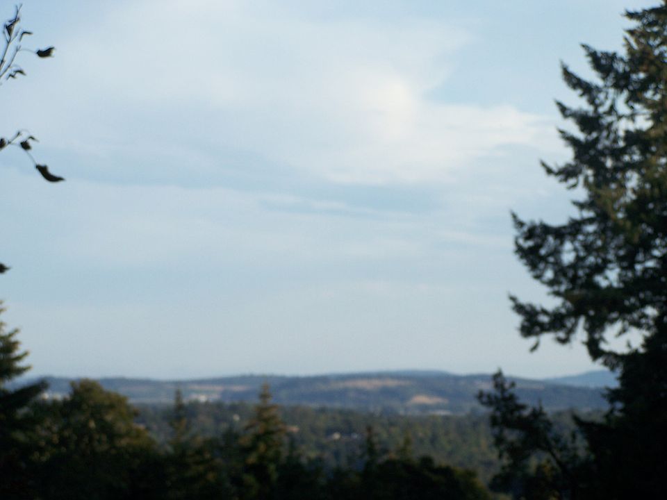 view from back deck