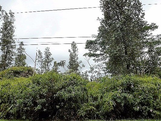 2nd image of King Kamehameha Blvd Lot 14