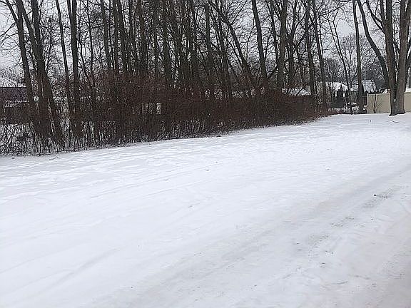 Bushes on left side of land