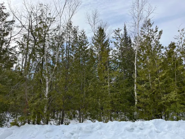 L-212 213 Shoreham Ct, Presque Isle, MI 49777