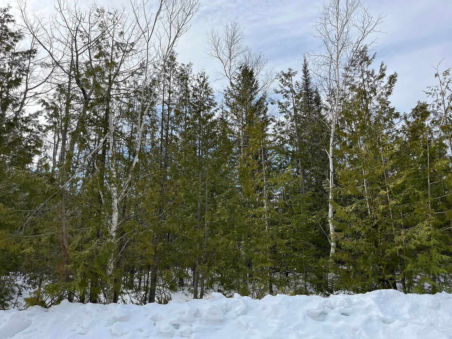 L-212 213 Shoreham Ct photo 1