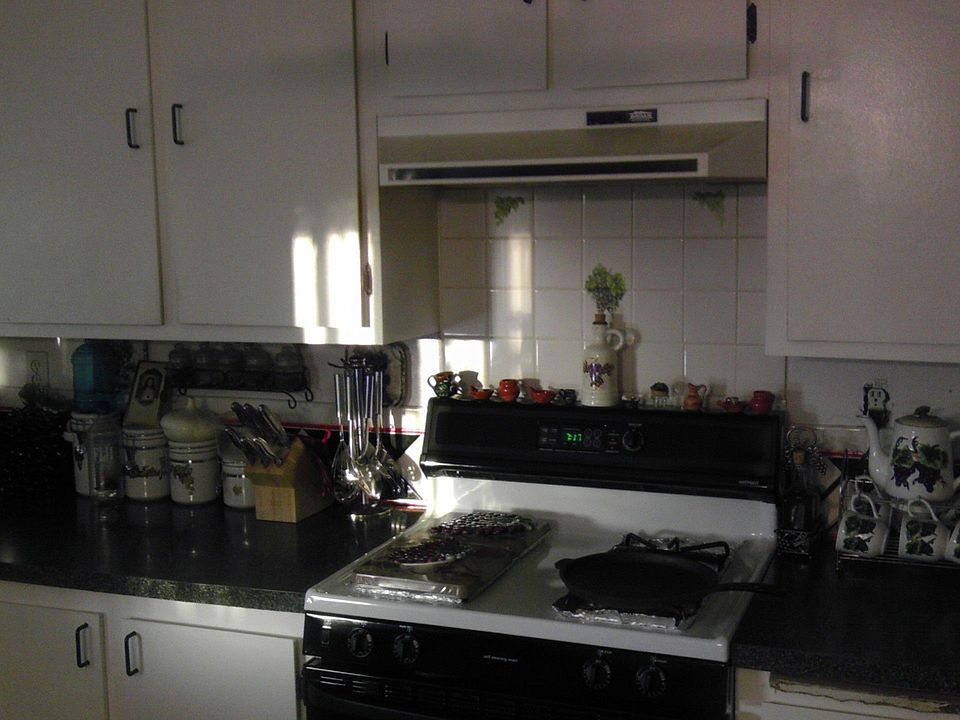 IMAG0239