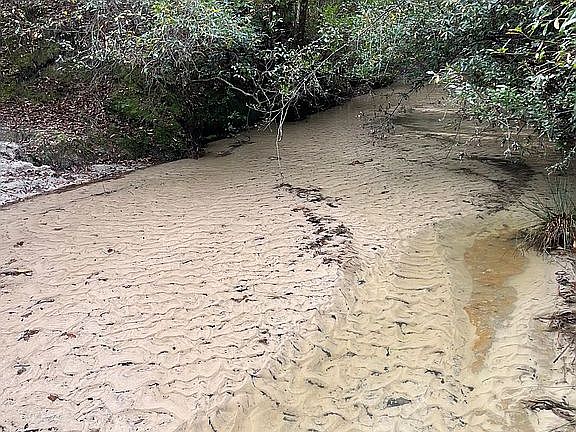 5th image of 727 Milton Dumman Rd