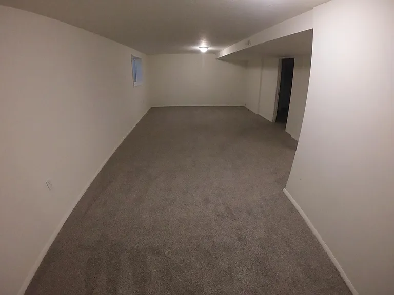 Downstairs living area (new carpet and paint)