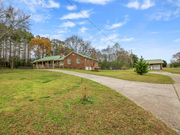 241 Bean Rd, Horton, AL 35980