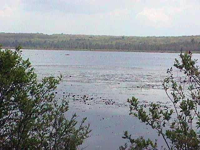 2nd image of Route 402 Rd