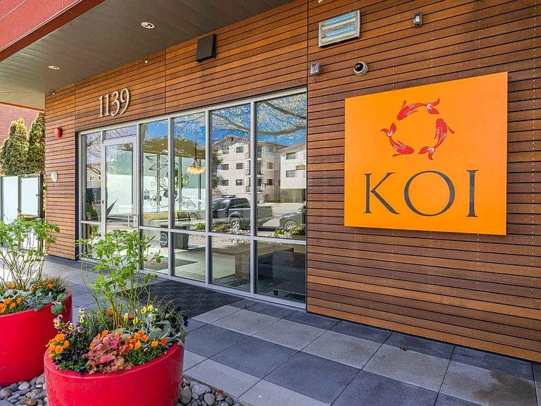 Koi — Photo 15