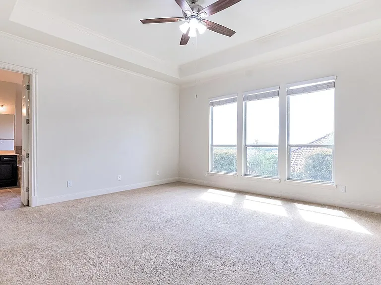 24711 Faraday — Photo 24