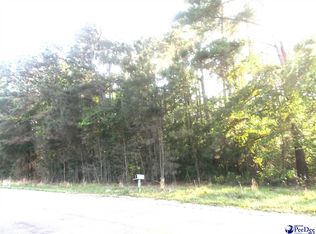 N Friendfield Rd, Pamplico, SC 29583