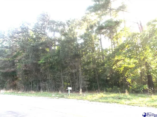 N Friendfield Rd, Pamplico, SC 29583