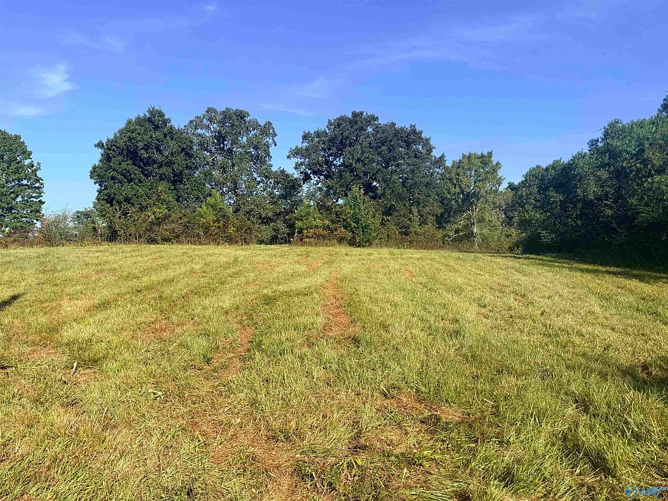 1st image of 31 County Road 158