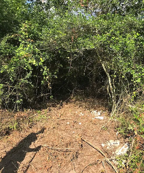Manuel Rd — Photo 23