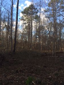 Old Pike Rd, Mathews, AL, 36052