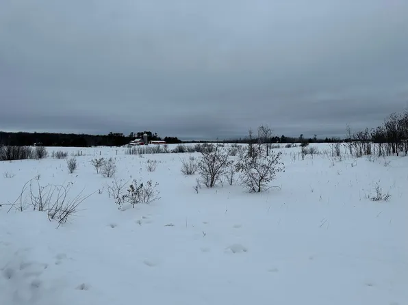 Xxx Birchview Rd, Grasston, MN 55030