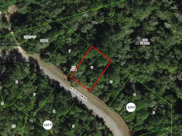 863 E Elston Pl, Citrus Springs, FL 34434