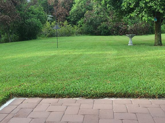 2nd image of 7924 Citrus Blossom Dr