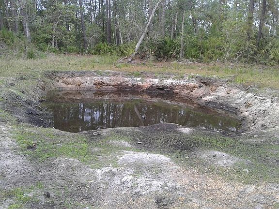 3rd image of 4151 Swamp Deer Rd