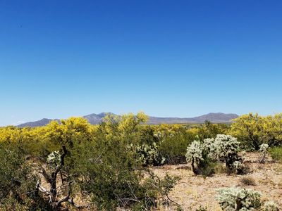 22200BLK S Tocayo Rd, Catalina, AZ, 85739