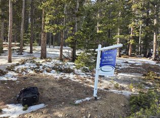 293 Beaver Road, Idaho Springs, CO 80452