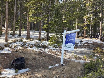 293 Beaver Road, Idaho Springs, CO, 80452