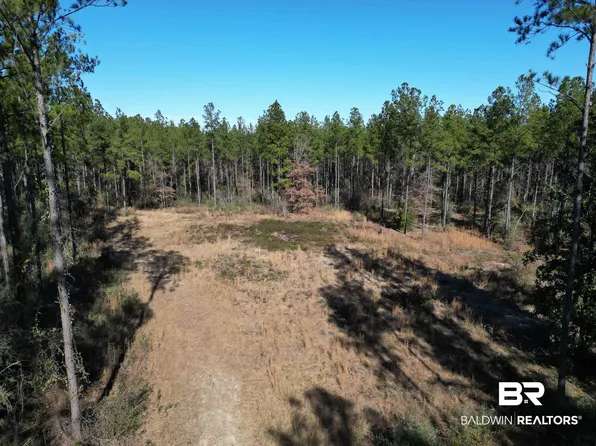 0 Ronald Sanks Rd, Bay Minette, AL 36507