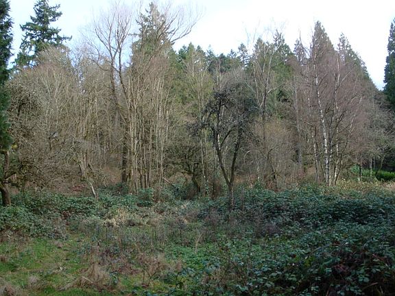 4th image of 13840 Woodinville Redmond Rd NE