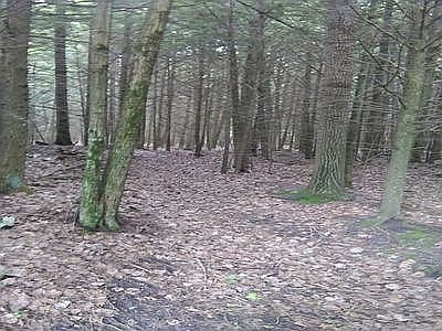 5th image of W5564 Evergreen Rd