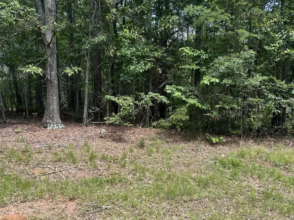 4583 Bennett Rd, Buford, GA 30519