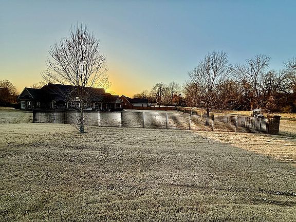 Back yard