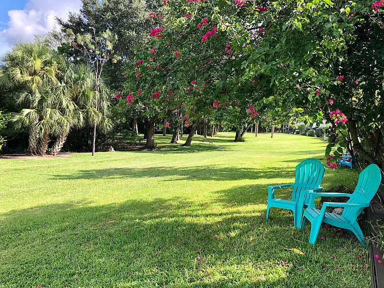 expansive common area behind property