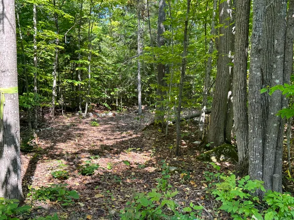 1702 Trails End Rd, Mackinaw City, MI 49701