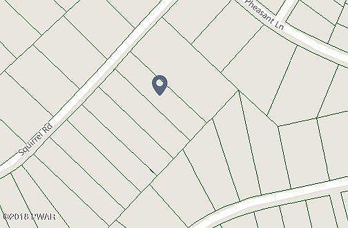 2nd image of Squirrel Rd